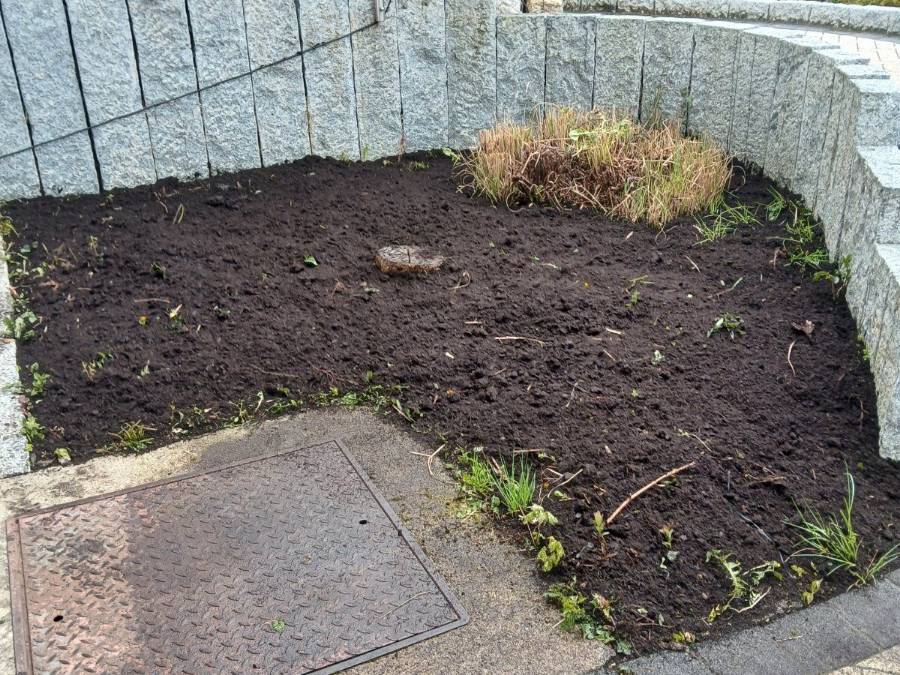 Hergerichtetes Beet mit frischer Erde neben einer gepflasterten Fläche an einem Wohnhaus in Wetter (Hessen).