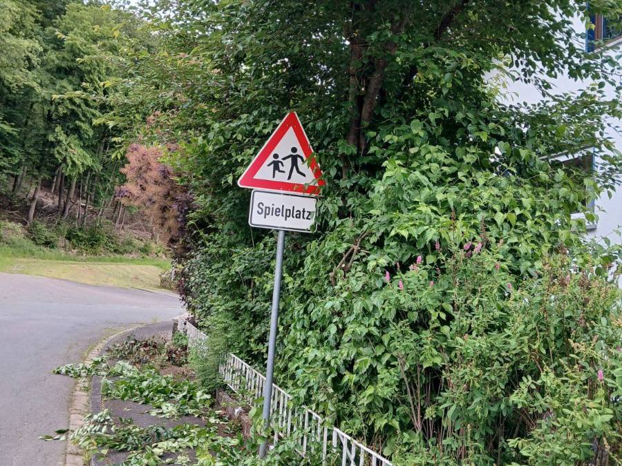 Zurückgeschnittene Hecke und aufgeschichteter Grünschnitt an einer Straße in Wetter (Hessen).